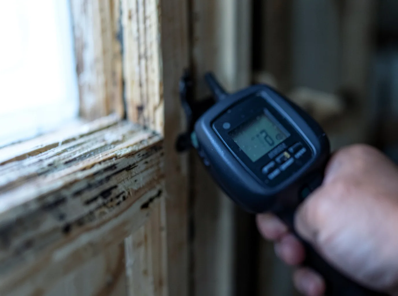 Moisture Inspection And Documentation in Greenwich, NJ